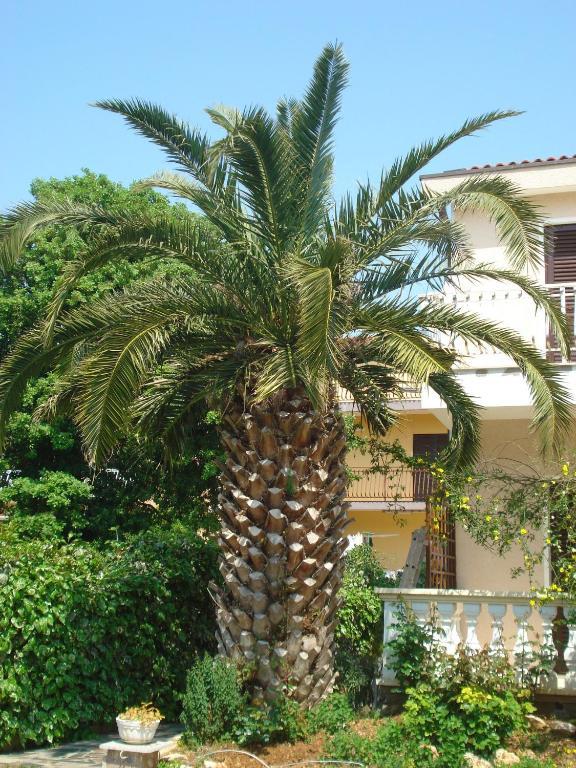 וודיצה Apartments Labor חדר תמונה