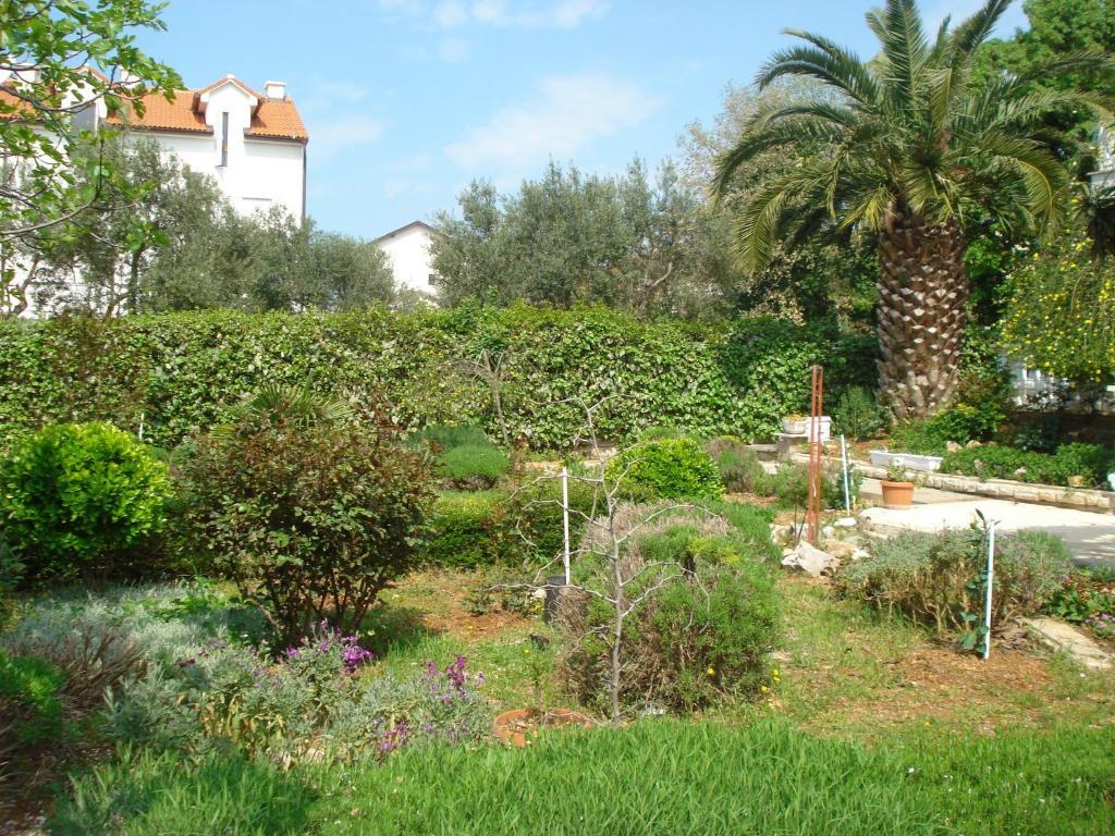 וודיצה Apartments Labor חדר תמונה